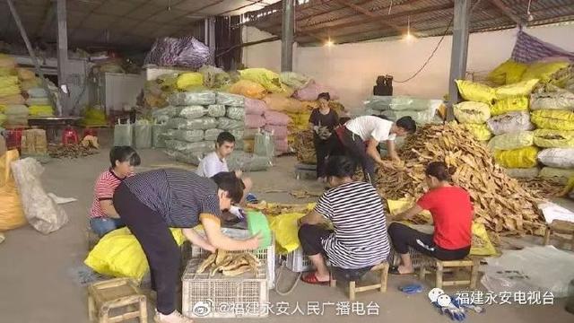永安 闽笋交易市场迎来交易旺季！今年首批出口笋干30吨已发往泰国