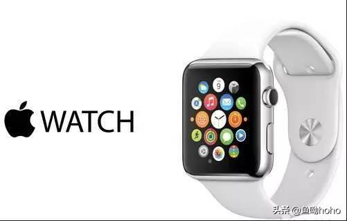 系统：苹果开始推送watchOS 5.3正式版更新，新增功能，修复对讲机