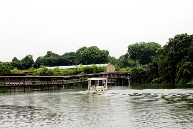 走进新加坡亚热带雨林 体验森林动物园王国 探寻亚马逊河奥秘