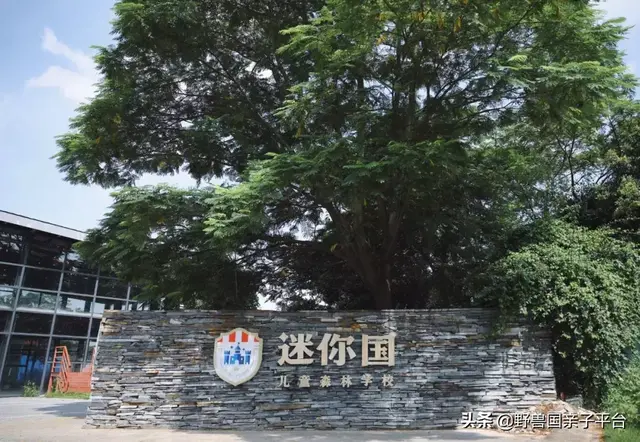 不输国外！东莞第一家儿童森林学校，一半时间让孩子在林间奔跑