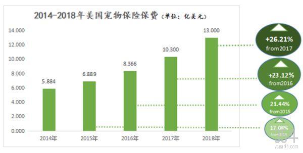 全世界都爱“吸猫撸狗”，宠物保险如何为“主子”保驾护航？