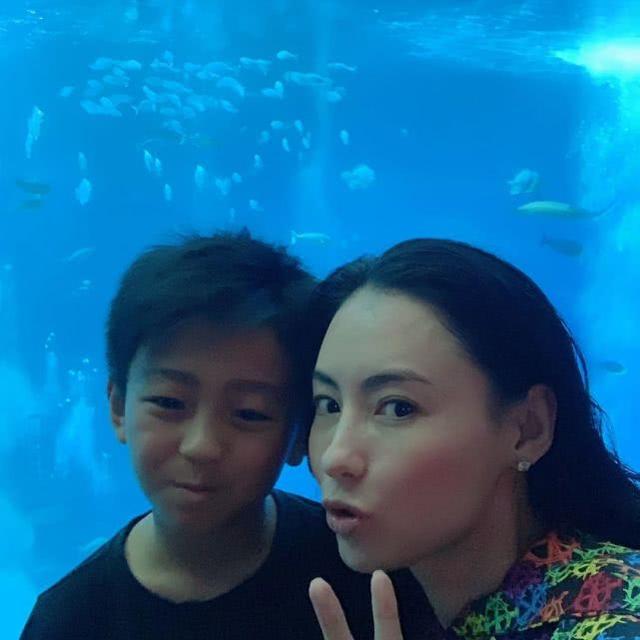 张柏芝带小儿子回新加坡半月不归 陪大儿子二儿子游海洋馆抱海豚