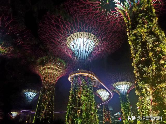 新加坡 滨海湾花园 夜景