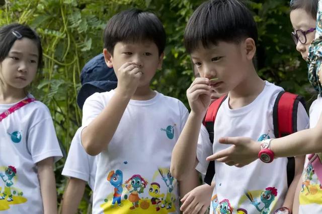 父母的眼界，决定孩子未来的高度 | 新加坡研学游