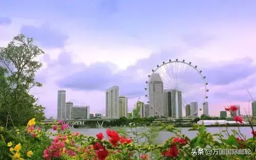 选择新加坡这个岗位的华人，三年后都成了大赢家