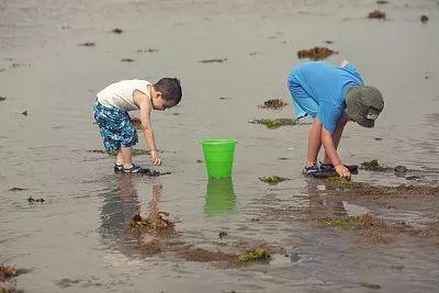 7、8月大连人最爱的top10清凉避暑地推荐！特价团太实惠