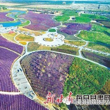 【新闻】“美丽经济”绽放陇原