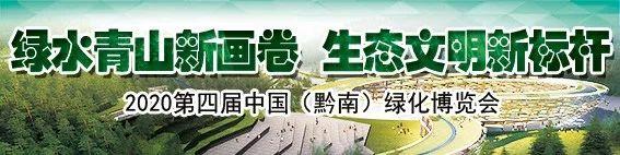 9月15日至19日｜举办第九届都匀国际摄影博览会 美国、法国等12个国家艺术家将参加