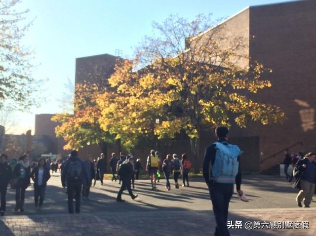 福布斯世界最美大学校园，这个排名你认可吗？