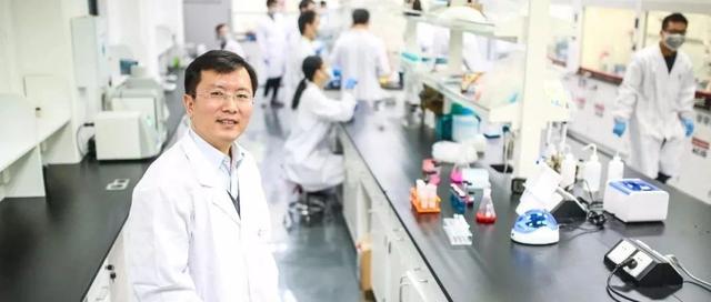 “钙帮”围攻肿瘤细胞！华东师大科学家团队发现抗癌新法