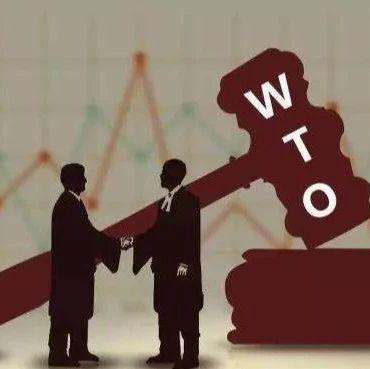 「美国研究」庞中英：美国挑战“发展中国家地位”，国际规范何去何从？