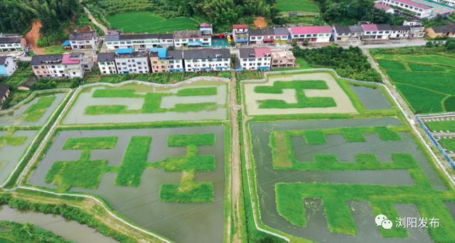 “画”出新生活！浏阳这个山村有条“油画示范街”，太美了！