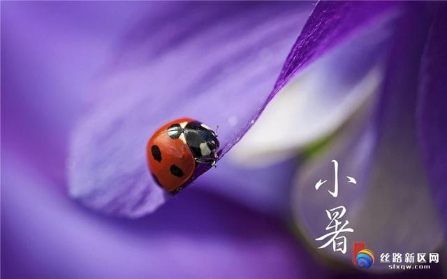 “蘭园杯”全民舞蹈大赛暨广播操展演活动火热报名