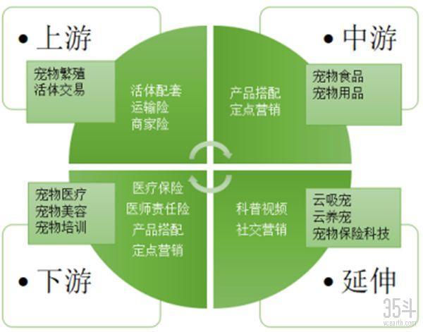 全世界都爱“吸猫撸狗”，宠物保险如何为“主子”保驾护航？