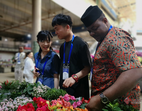 昆明“一枝花”吸引非洲友人闻香又识花