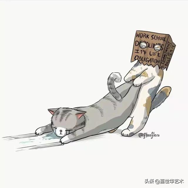 恶搞猫咪，将猫咪变成生活全部