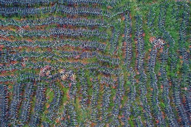 被遗弃的10000具“尸体”，改变了无数孩子的命运