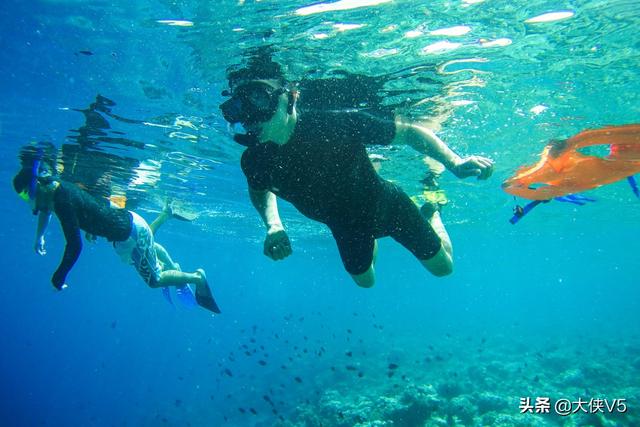 这里是世界第一潜水圣地，大堡礁和马尔代夫都只能排它后面