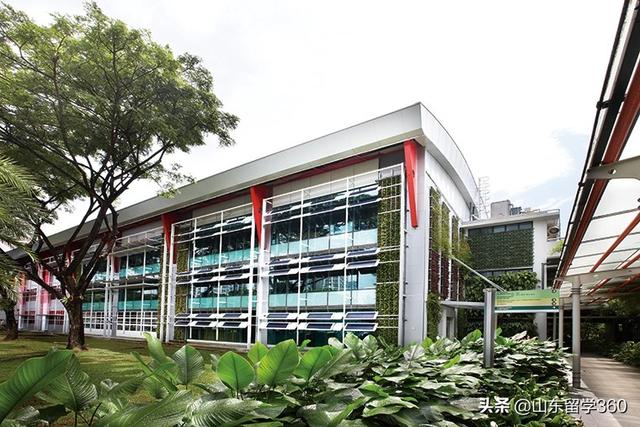新加坡学生签证办理须知