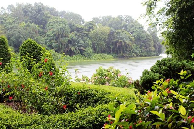 走进新加坡亚热带雨林 体验森林动物园王国 探寻亚马逊河奥秘