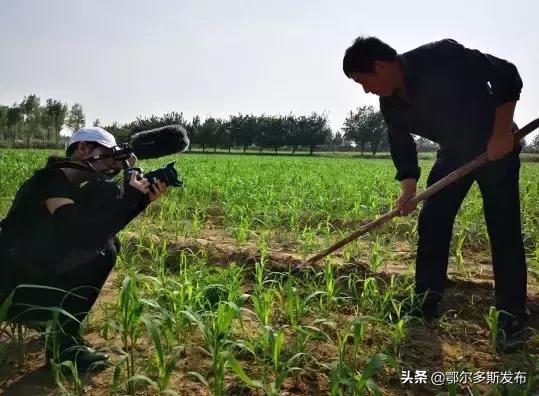 听说，最近这群歪果仁在鄂尔多斯频频上头条！