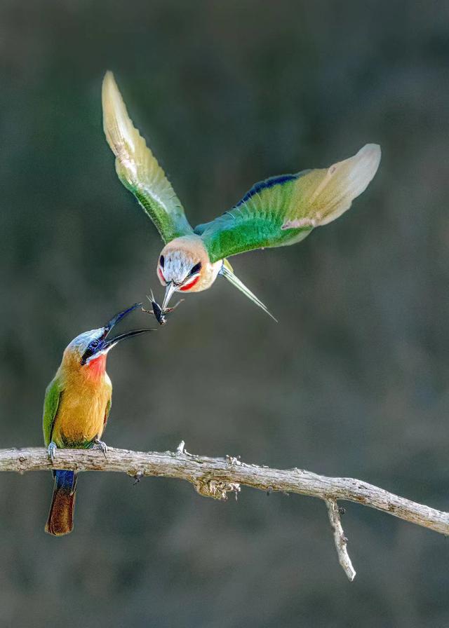 看看中国摄影师与国外摄影师的差距在哪里？