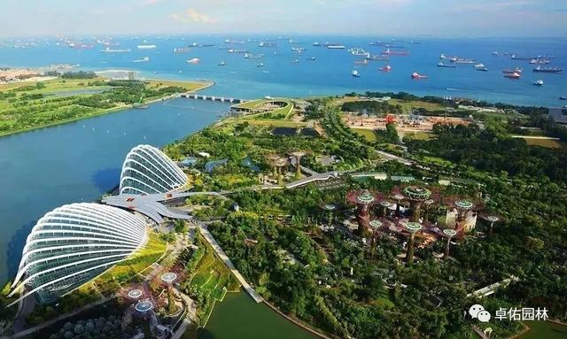 现实版的“阿凡达外星世界”梦幻又美丽