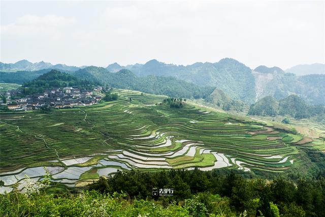 贵州有座苗族村：祖辈把大山挖成田，如今村民把游客带回家看田