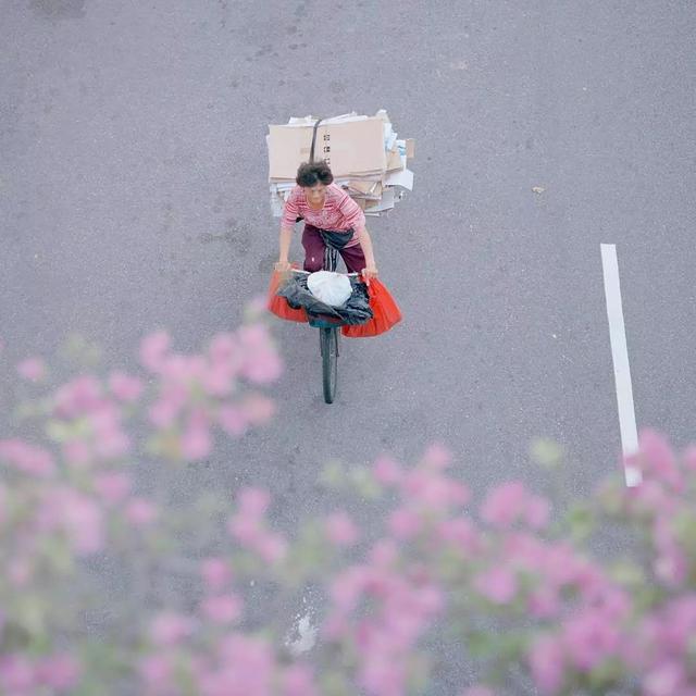 在生活的角落里，有你的夏日颜色