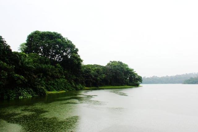 走进新加坡亚热带雨林 体验森林动物园王国 探寻亚马逊河奥秘