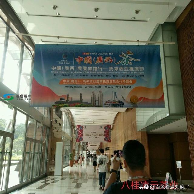 八桂凌云丝路行 出彩马来西亚