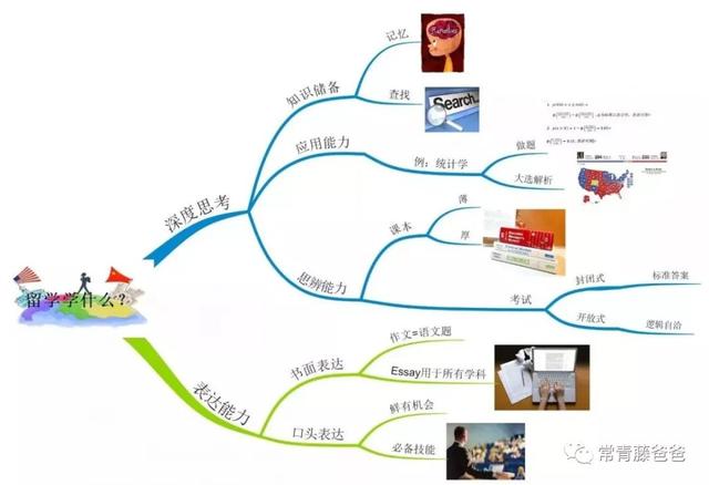 美国幼儿园/小学都在用的思维导图，怎样在家教给学龄前的孩子？