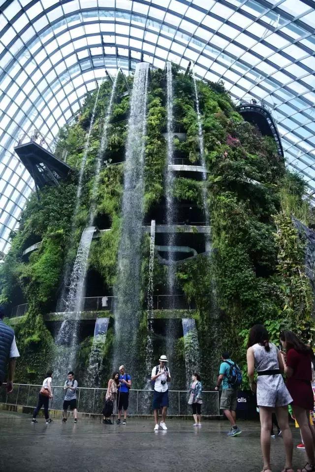 一次让你难忘的花园城市之旅——新加坡