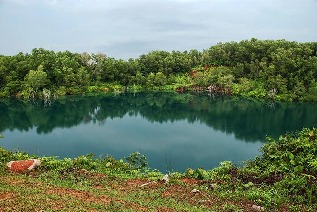 新加坡第二大岛：寸土寸金却不舍得开发，宁愿荒废也要保持原生态
