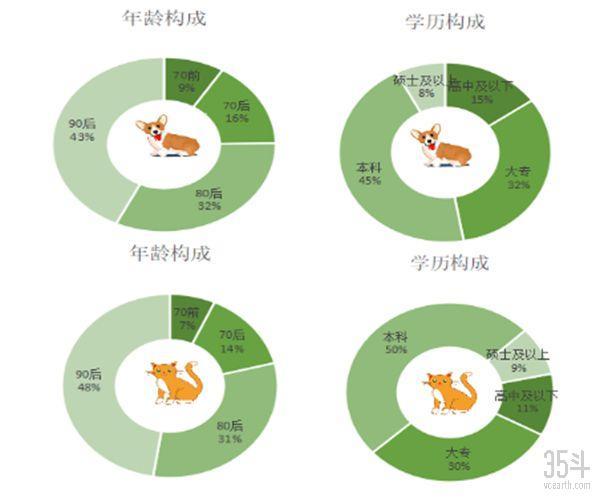 全世界都爱“吸猫撸狗”，宠物保险如何为“主子”保驾护航？