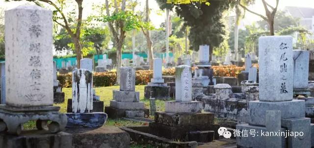 新加坡这个埋着日本人的坟场，居然成为网红拍照地