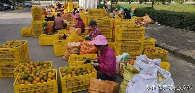 泰伯基金会组团参加马来西亚巴生滨海吴氏宗亲会成立四周年庆典