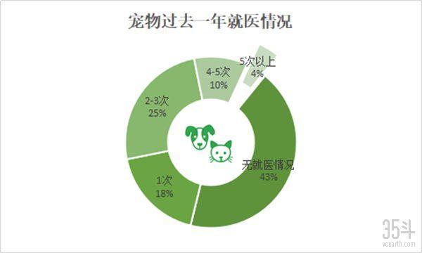 全世界都爱“吸猫撸狗”，宠物保险如何为“主子”保驾护航？