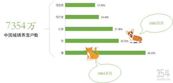 全世界都爱“吸猫撸狗”，宠物保险如何为“主子”保驾护航？