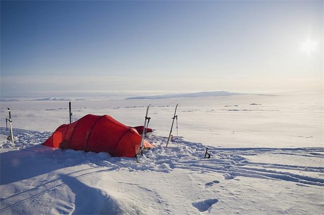 科技日历｜33年前的今天，中加恐龙考察团队首次踏足北极进行考察