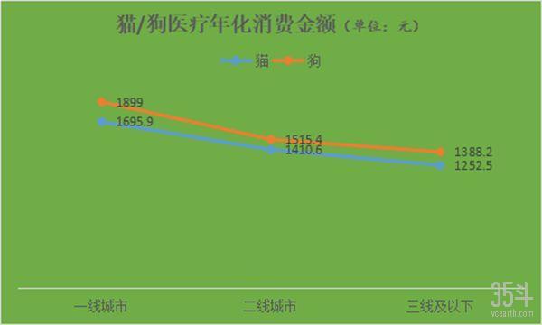 全世界都爱“吸猫撸狗”，宠物保险如何为“主子”保驾护航？