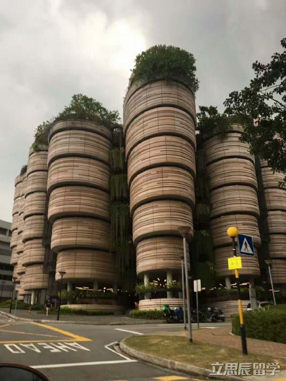 世界排名高于清华大学的新加坡南洋理工大学，录取条件苛刻吗？