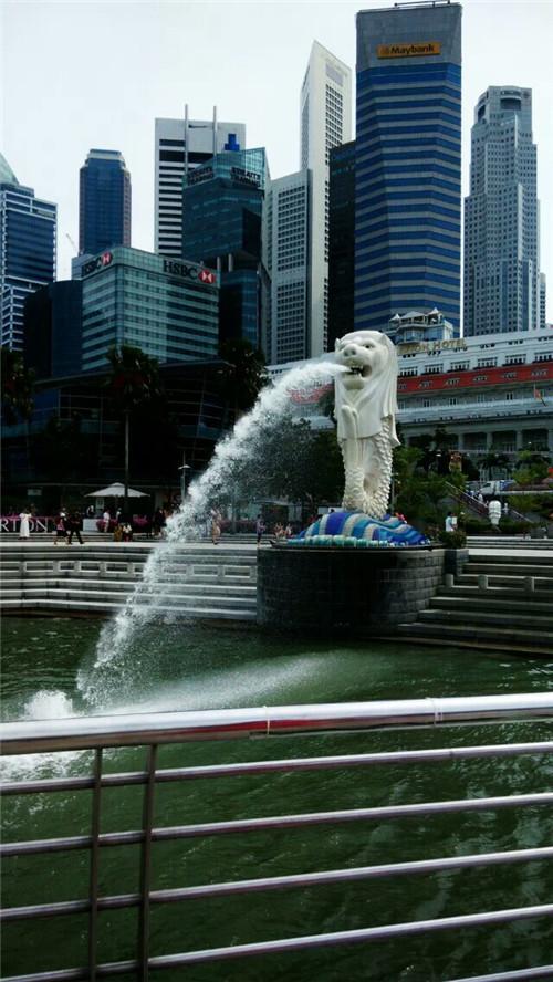 国内本科生怎样考上新加坡理工学院？