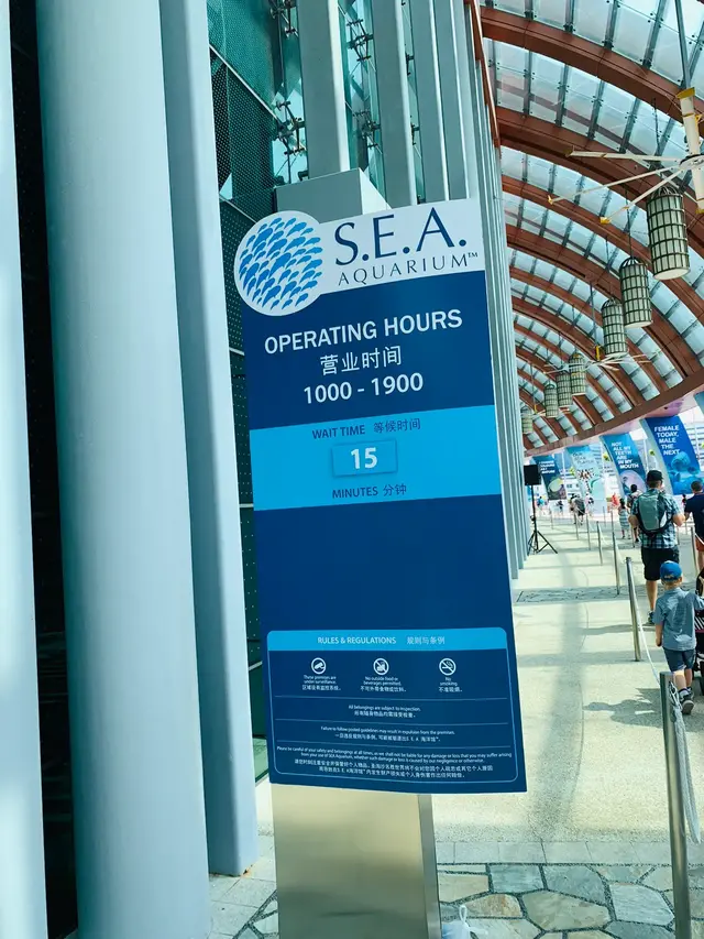 圣淘沙SEA海洋馆，孩子打卡好去处