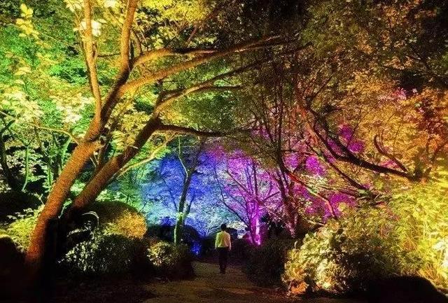 teamLab御船山展览惊艳全球，我国夜游景观该如何打造？