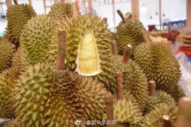 泰国榴莲半年创收8亿美元！中国成主要进口商
