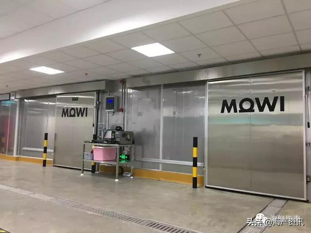 全球最大三文鱼生产商Mowi上海加工厂投产运营！布局中国大陆