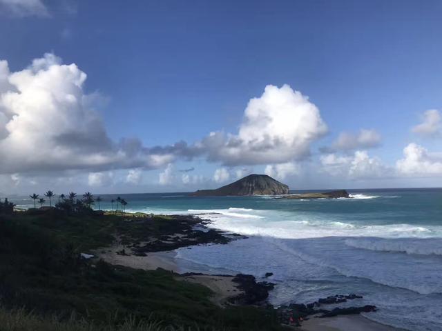 美国大学的护理专业好不好，谁看了谁知道