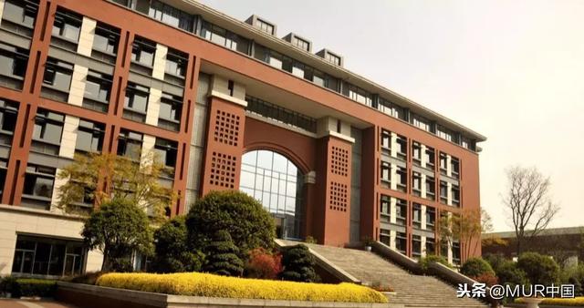 中国高知家庭孩子申美本过程，实证了“留学，藤校不是最优解”