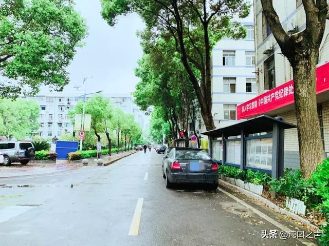 我在沌口的这10年